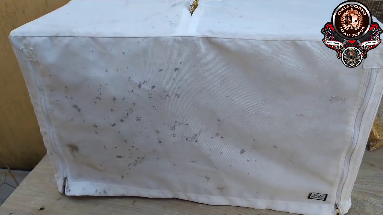 SEU COLEIRO NÃO TEM MEXIDA? FAÇA ESSA AQUI, É FÁCIL E JÁ ME DEU MUITOS TROFÉUS
