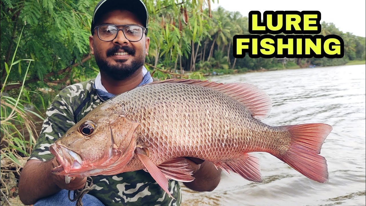 ഇ Lure കണ്ടാൽ ചെമ്പല്ലിക് കലി ഇളകും 🥵 | kerala river fishing | PSYCHO ANGLER | malayalam video.