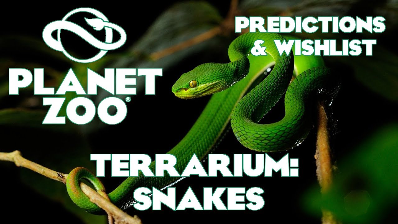 Planet Zoo: Predictions and Wishlist - Terrarium Snakes