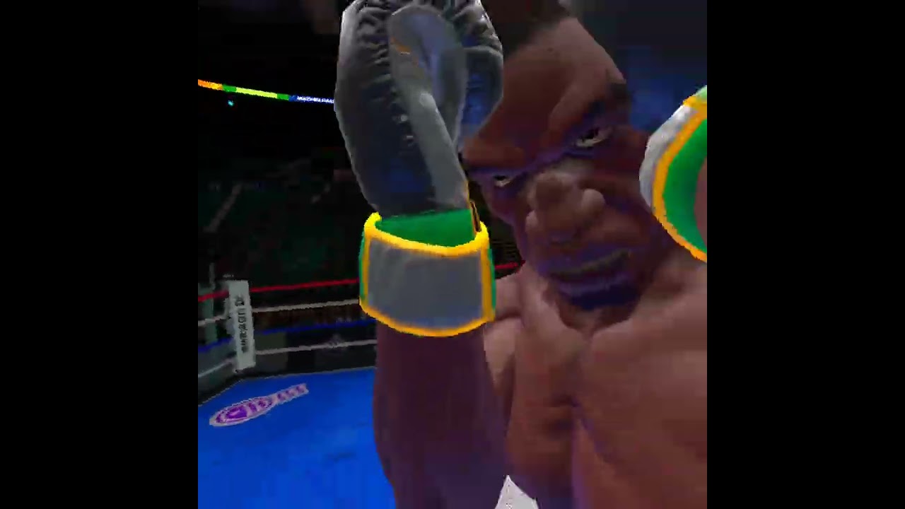 VR fighting 💪💪💪💪💪💪💪💪💪💪💪💪💪💪 