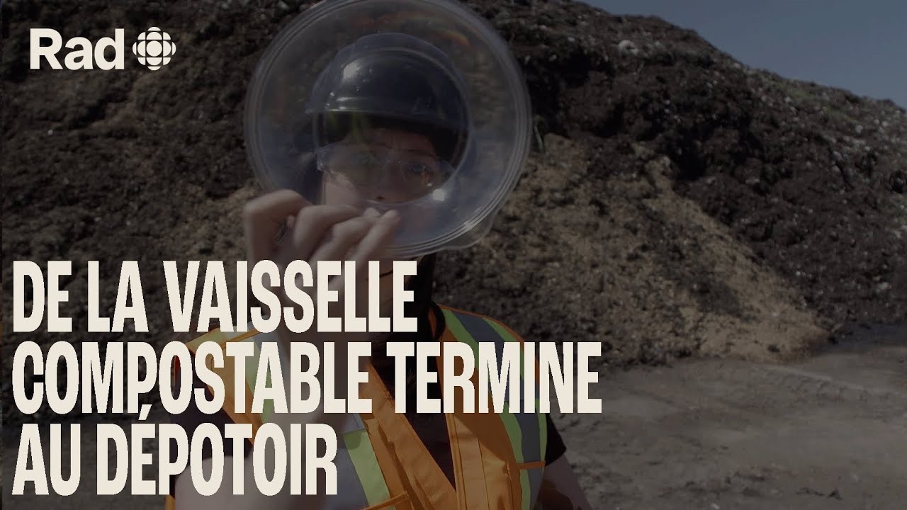 Est-ce que la vaisselle compostable est vraiment compostée? On est allés vérifier | Quête | Rad