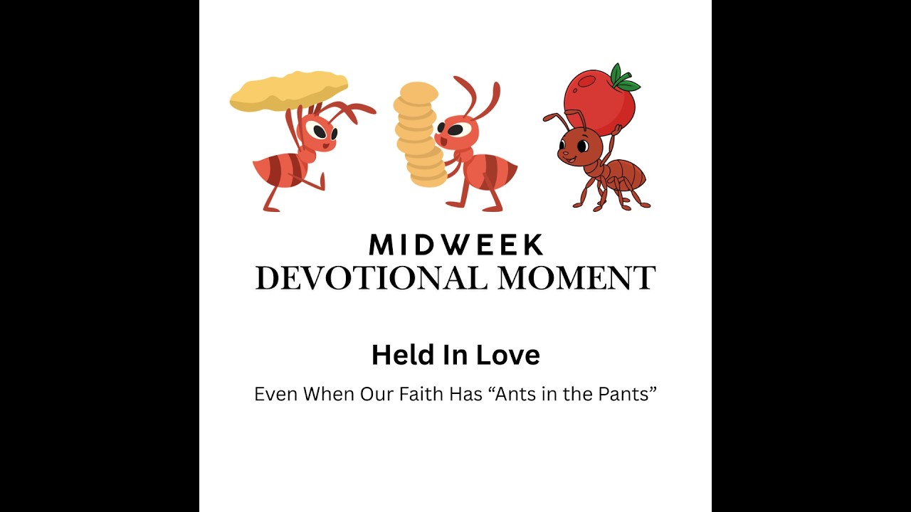 Midweek Devotion: Having An 