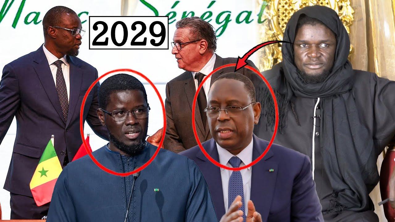SERIGNE MAME CHEIKH FALL : “SONKO SERA PRÉSIDENT, PERSONNE NE PEUT L’EMPÊCHER 2029