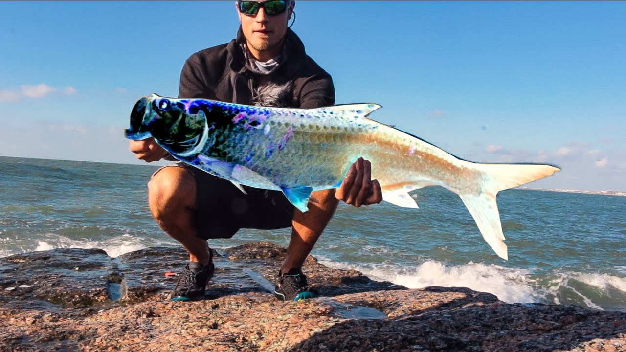 the greatest fish caught from land