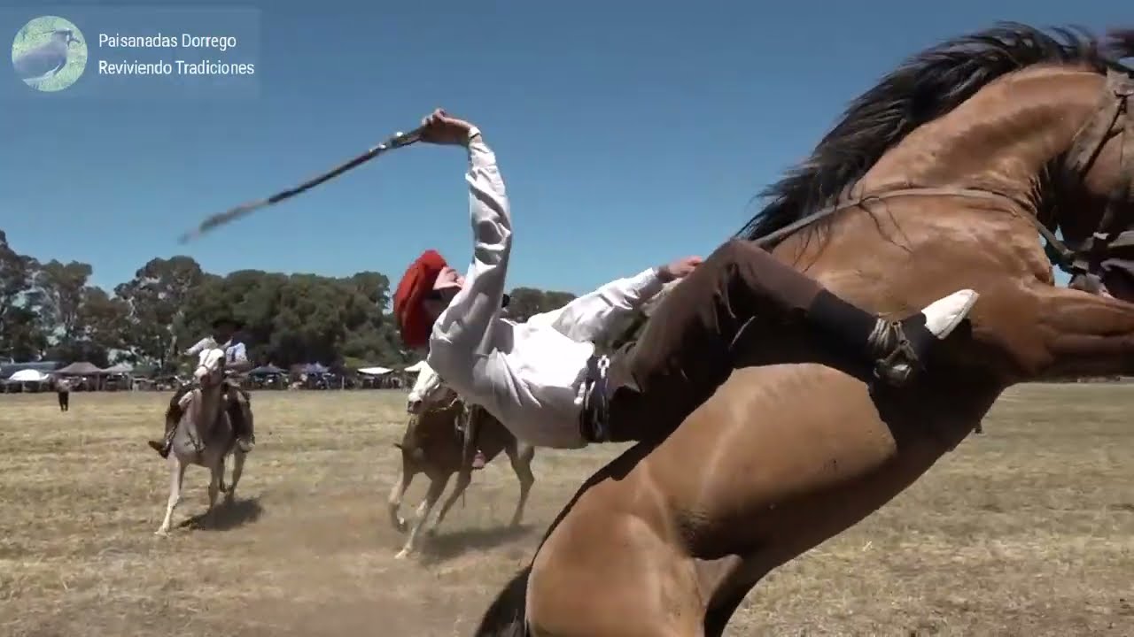GRANDES RUEDAS DE JINETEADAS CAT  CRINA - GURUPA SUREÑA  - BASTOS Y ENCIMERA - MONTAS ESPECIALES