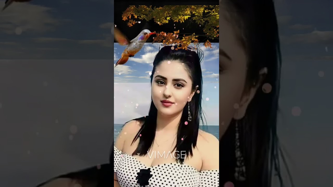 lovepedia short video viral short video# love shot video#