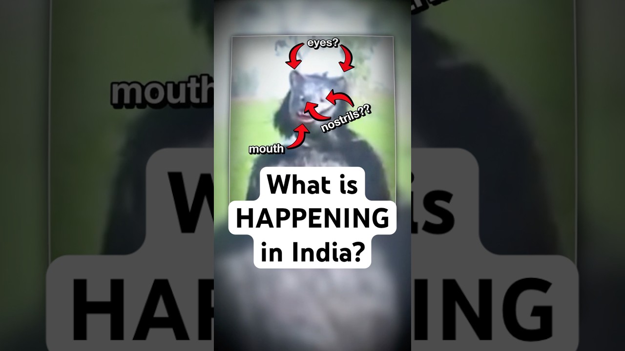 Indian Farmers are WHAT?