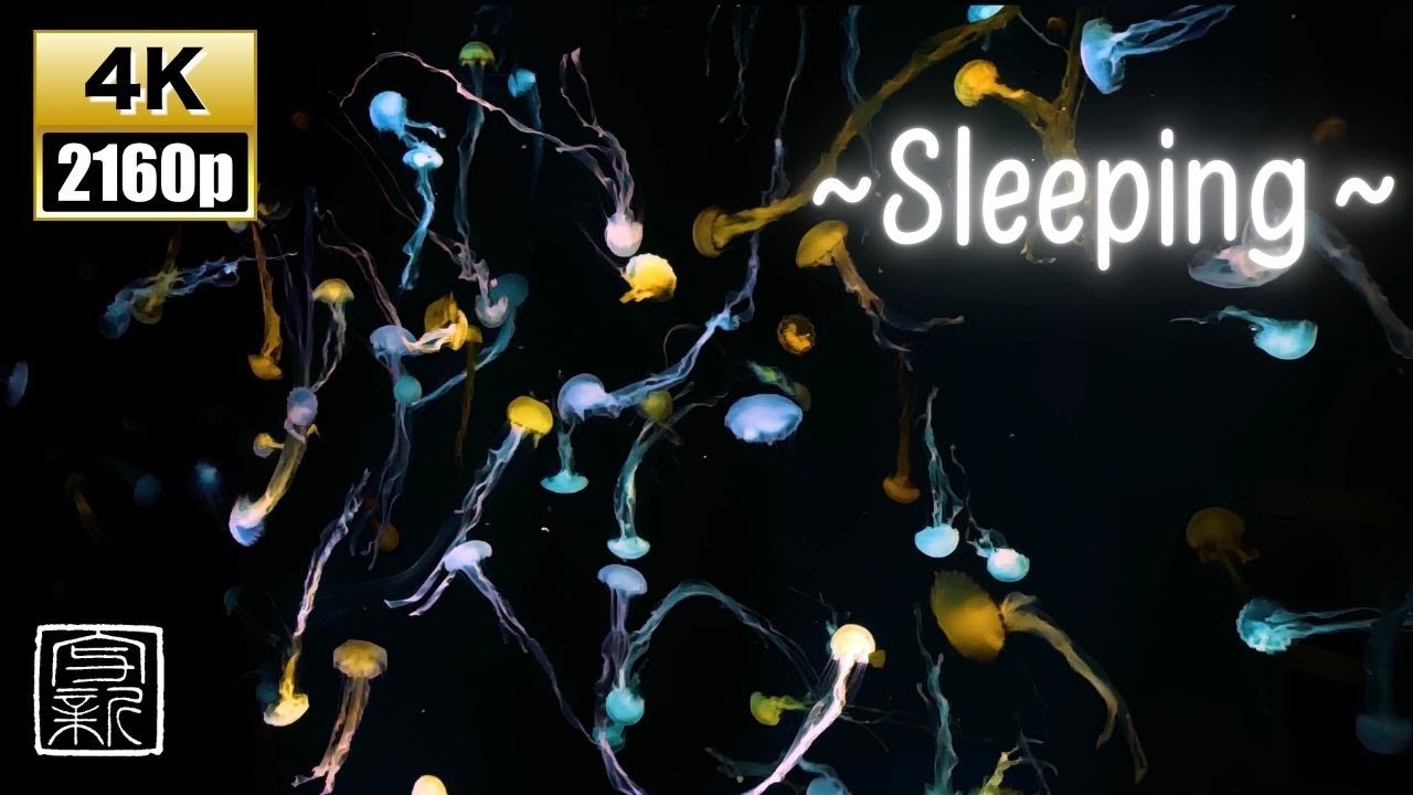 12 hour Relaxing Jellyfish Dance💫 & Soothing Sounds for Deep Sleep🧚🏻&zwj;♀️ - 4K UHD