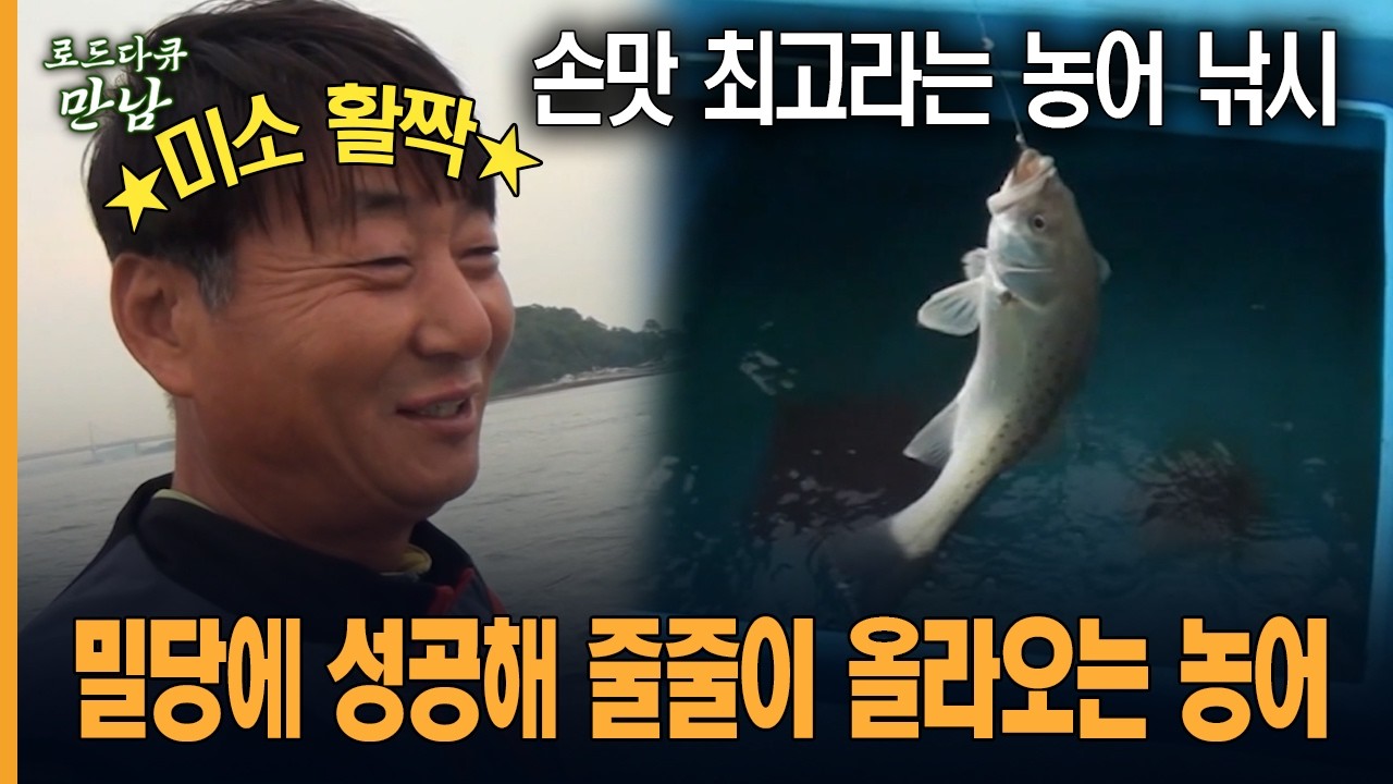 [로드다큐 만남 47회-3부] 손맛 최고라는 농어 낚시 밀당에 성공해 줄줄이 올라오는 농어
