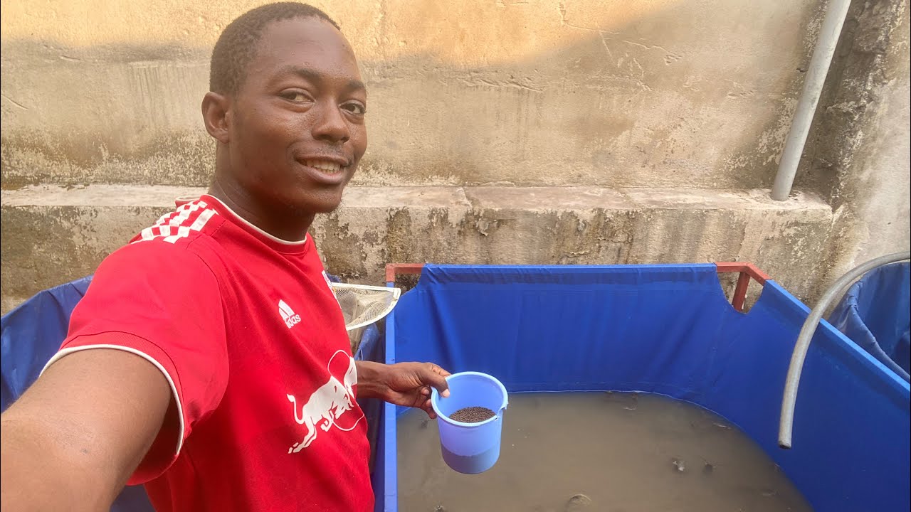 20 Minutes Pour Savoir S’occuper De Ses Poissons de Pisciculture Chaque Jours (Théorie + Pratique)