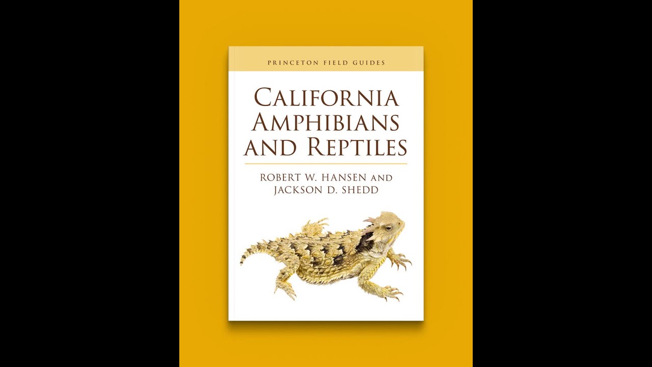 Robert Hansen: A New Herpetological Field Guide for California