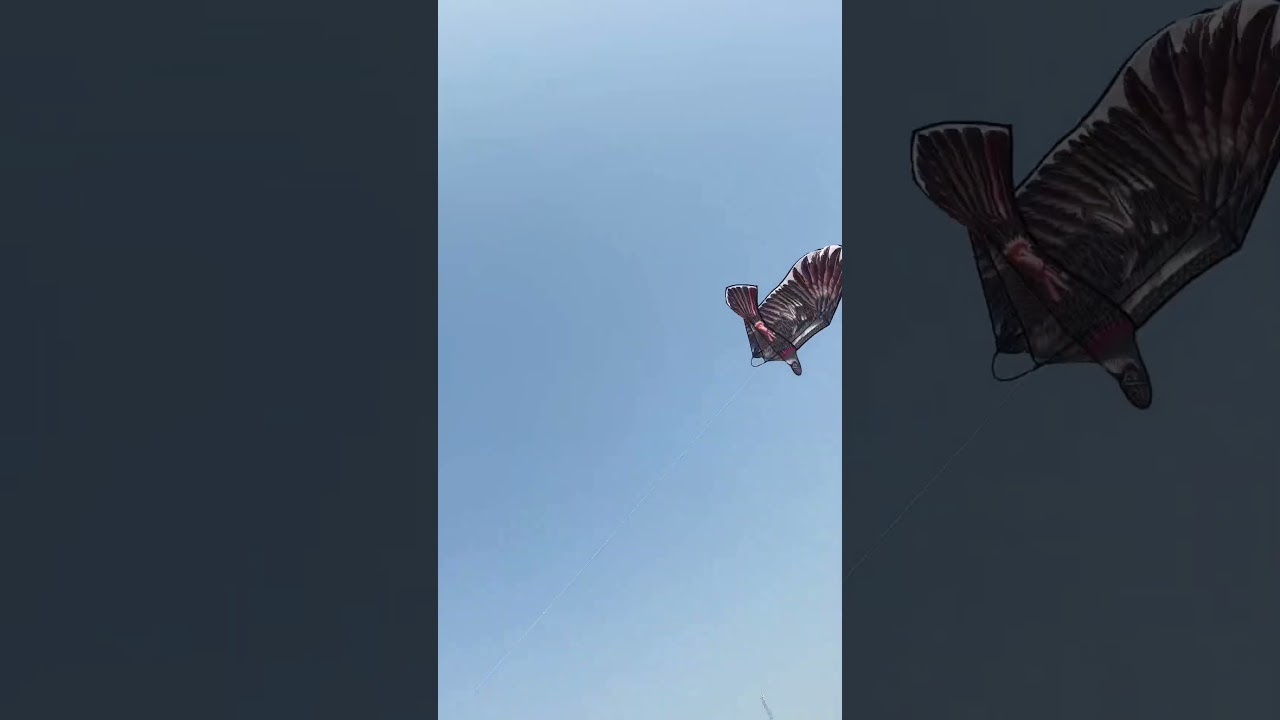 Accident at Kite Festival #shorts #accident #festival #kite #subscribe #youtubeshorts
