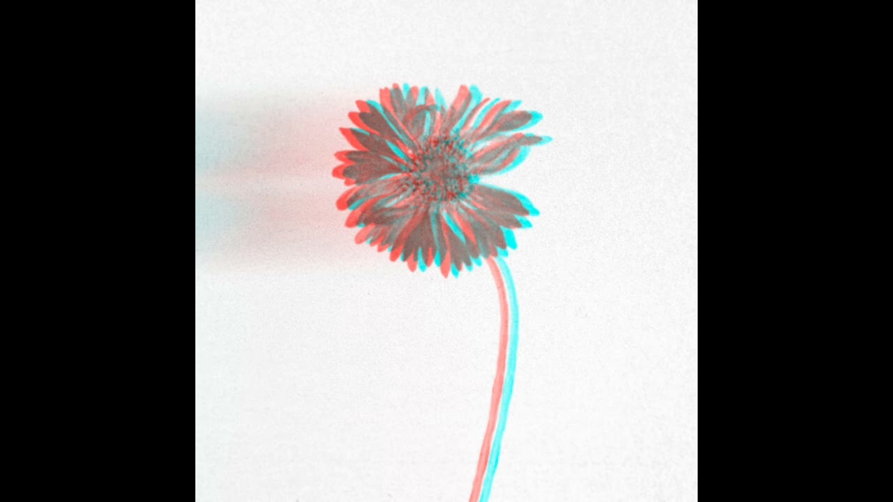Bloom 404