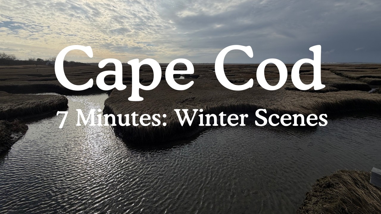 Cape Cod in 7 Minutes: Winter Scenes