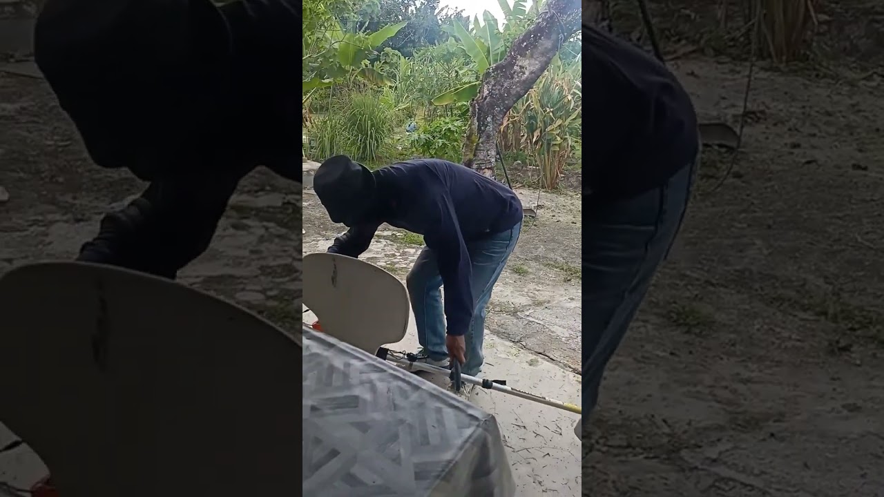 Potong rumput belakang rumah 