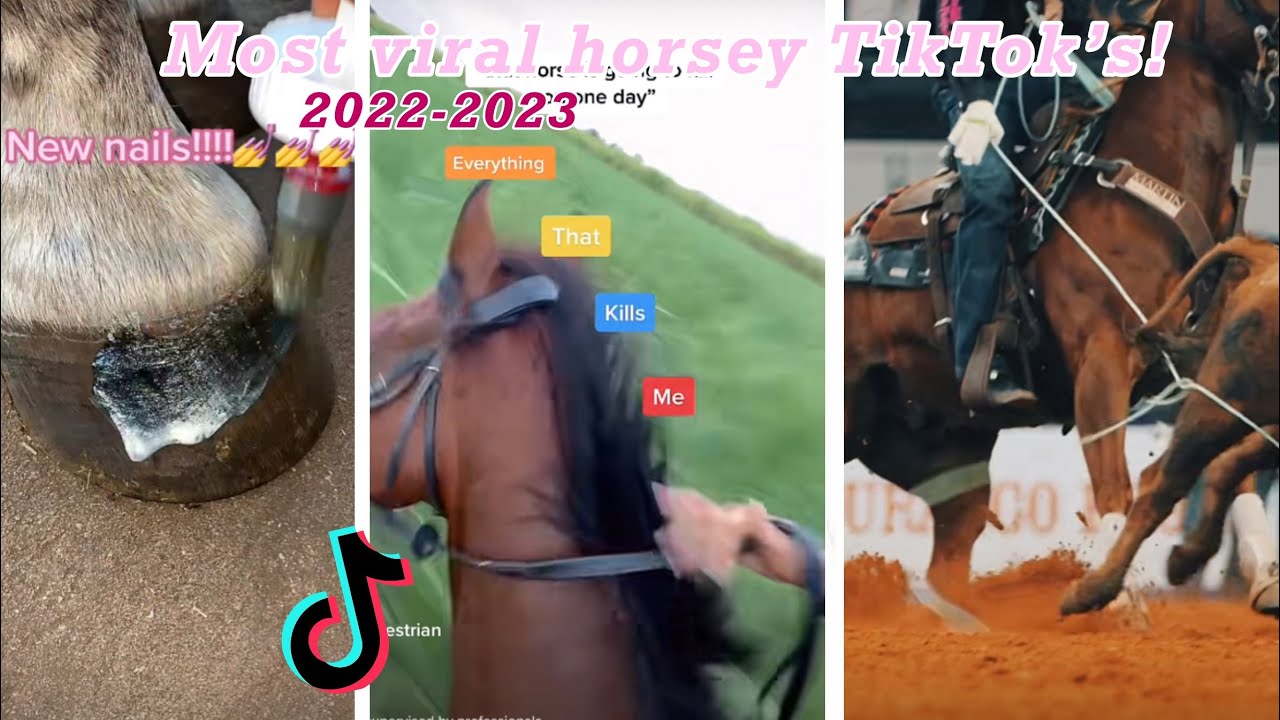 Most viral equestrian/horsey TikTok’s!