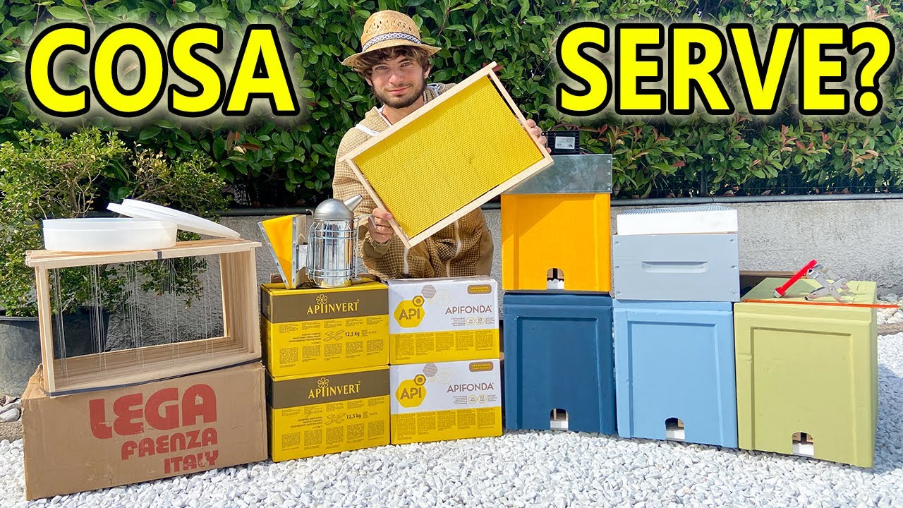 Apicoltura: cosa serve per iniziare