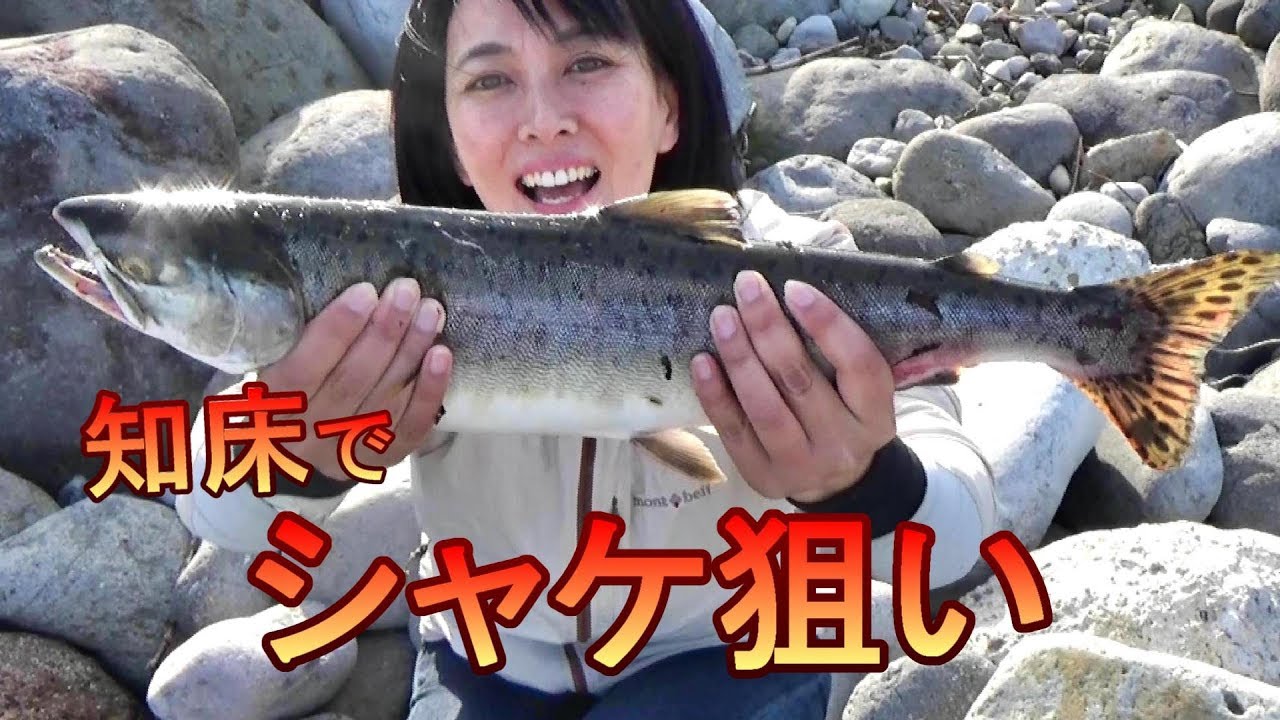 【北海道釣り旅】世界遺産知床で釣り三昧！【シャケ・カラフトマス釣り】