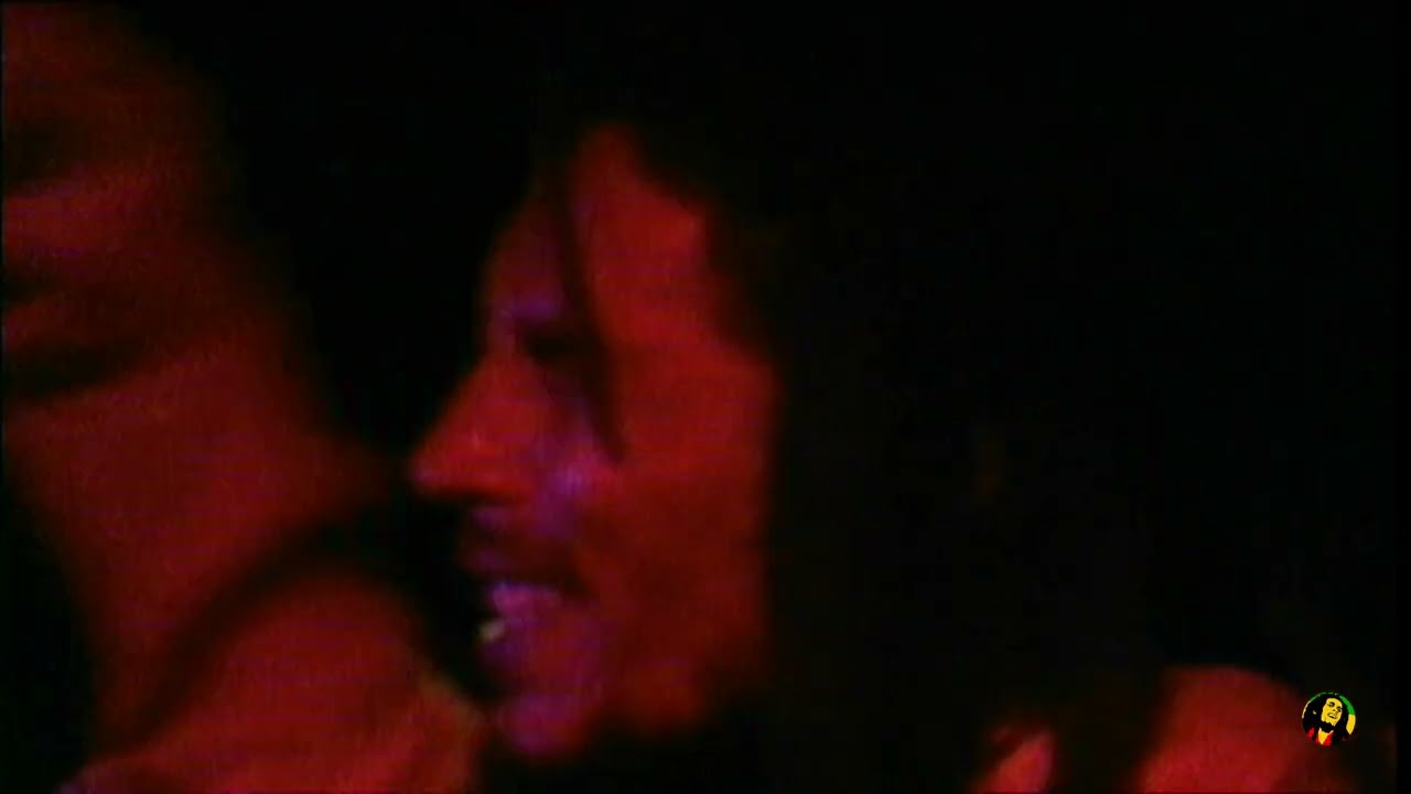 Bob Marley & the Wailers - Natty Dread ( Live One Love Peace Concert 1978 )