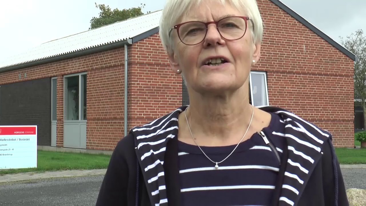 Om udsatte borgere - bolig og besk&aelig;ftigelse