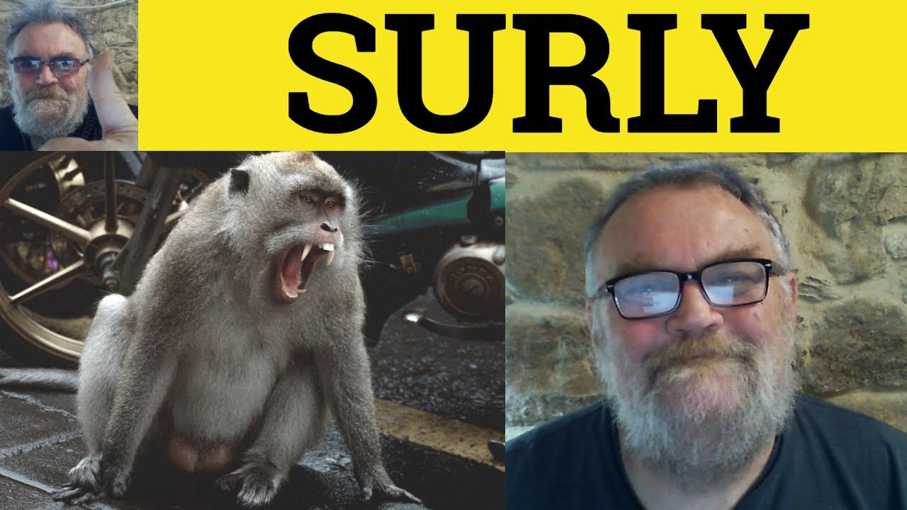 🔵Surly Meaning - Surly Examples - Define surly - Describing People - Surly Explained - Surly Defined