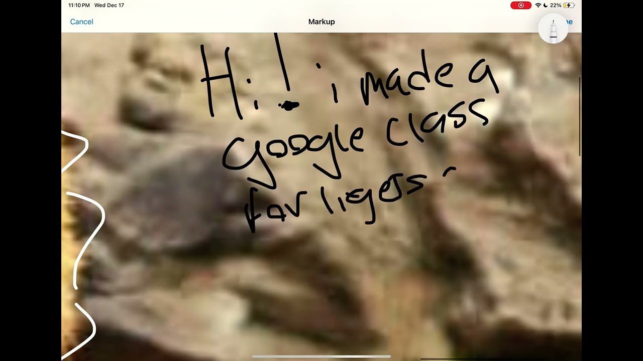 Lion/Liger pride google classroom! Look in comments @safiritheliontherian  @River.is.confused