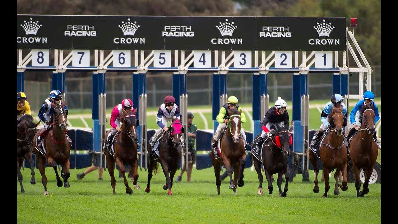 Rick's Racing Model - Australian Horse Racing Tips