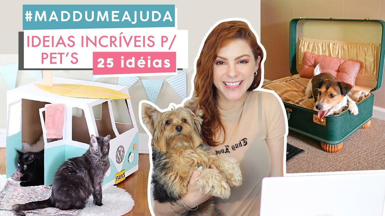 25 ideias DIY p/ Cachorro & Gato #Maddumeajuda