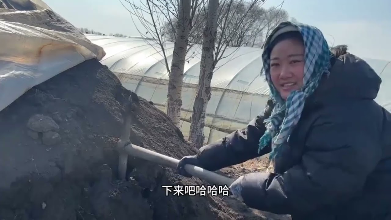 九零后夫妻种20多垧地每天都干啥？开春种地干活，晾晒育苗土！ 九零后夫妻种20多垧地每天都干啥？开春种地干活，晾晒育苗土！#新农人计划 #一段真实历史故事 #五常大米