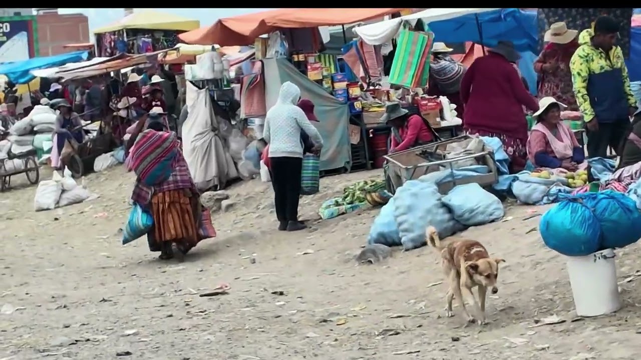 Sur la route de La Paz Bolivie