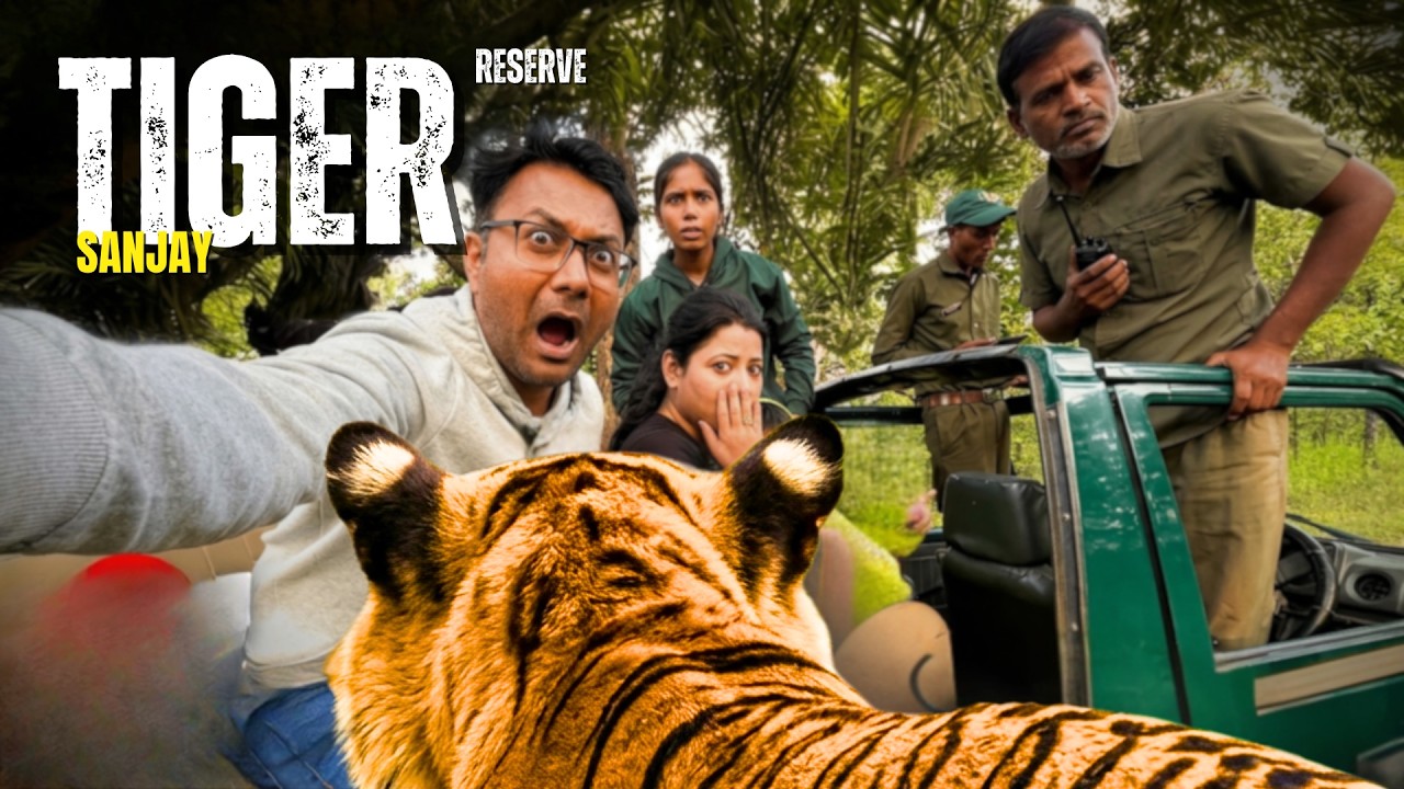 Sanjay Tiger Reserve 🐅  मध्य प्रदेश
