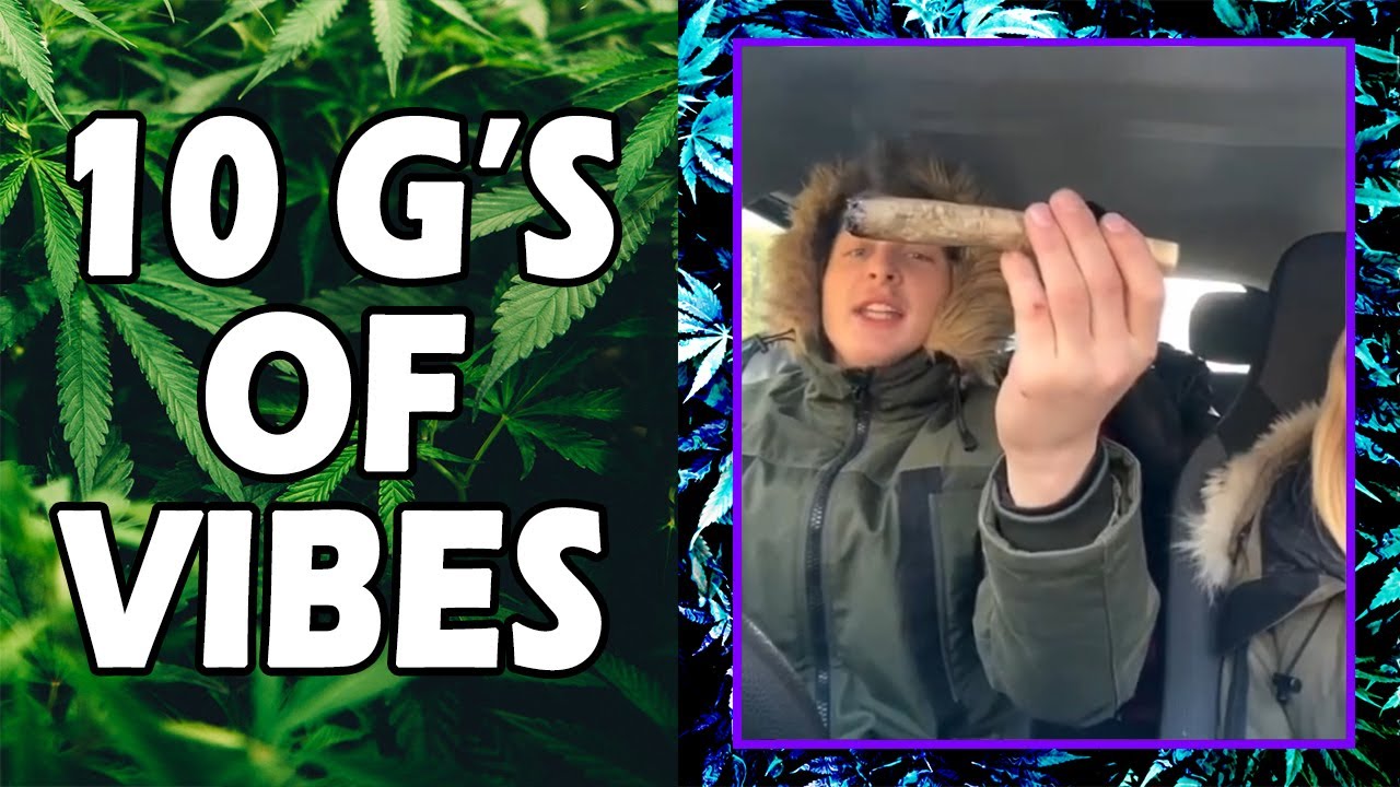 WEED MEMES & Fail Compilation [#141] - Fatally Stoned