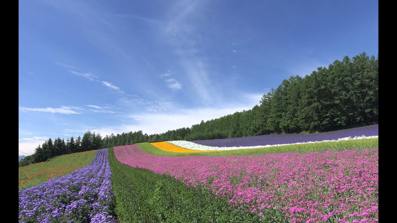 AX100 4K Movie 3 北海道