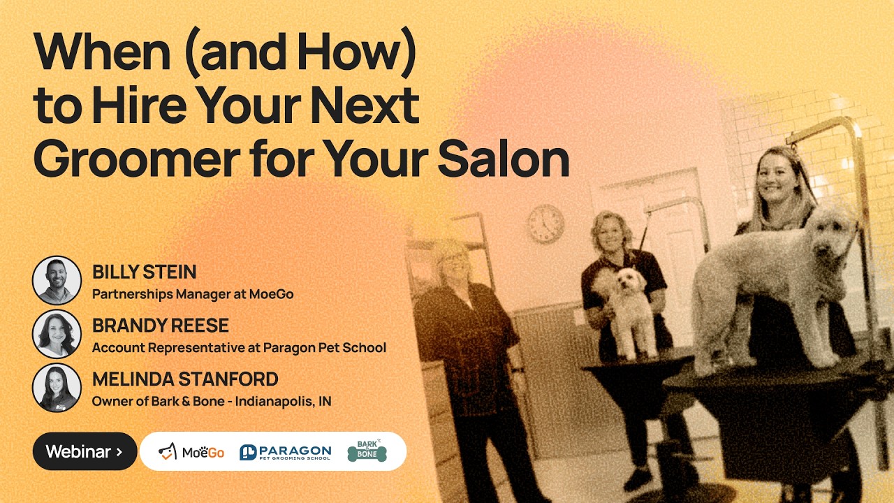 When (and How) to Hire Your Next Groomer for Your Salon