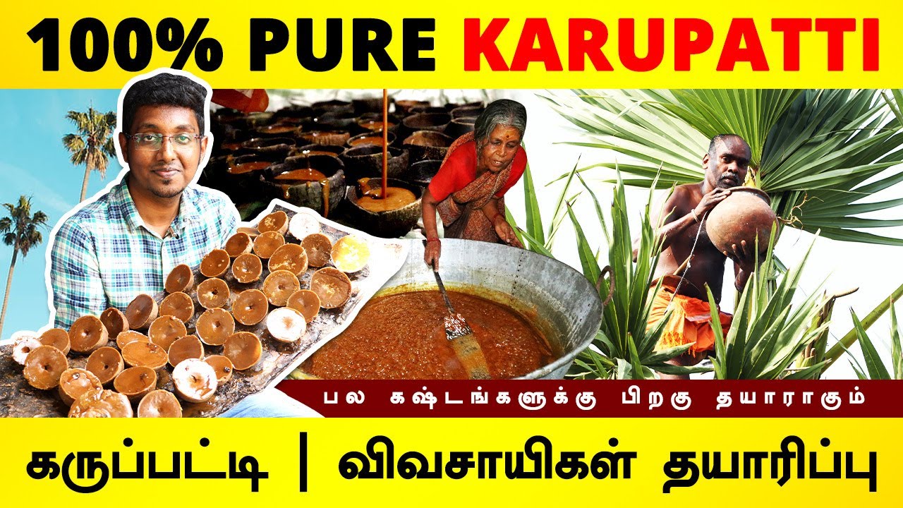 கருப்பட்டி நேரடி தயாரிப்பு | விவசயிகளிடம் வாங்கி வியாபாரம் செய்யலாம் | 100% Organic Karupatti Making