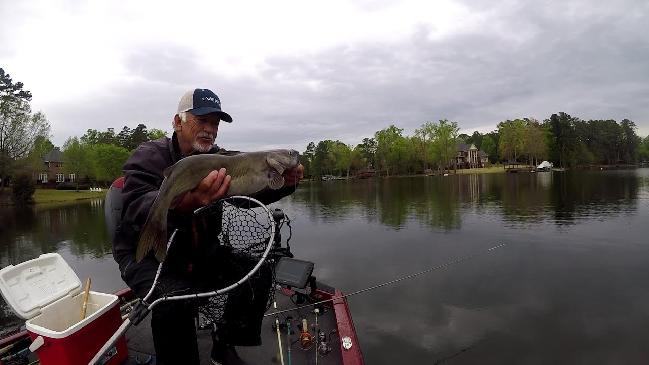 Slab Crappie Sniping On Brush Piles, Lake Murray