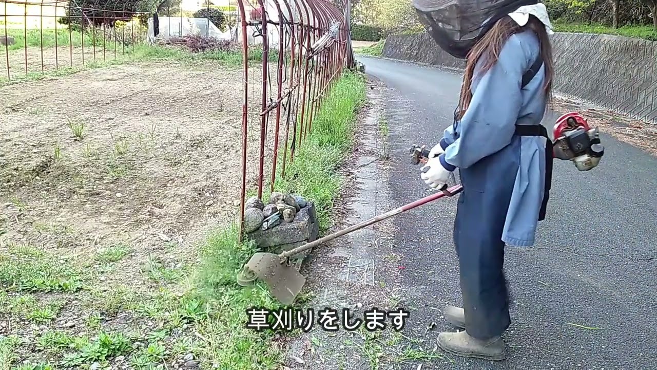 今年も草刈りが始まりました。使用しているのはナイロンコードの草刈機です