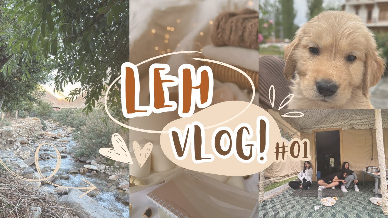 A week in My Life - Leh Edition!!!