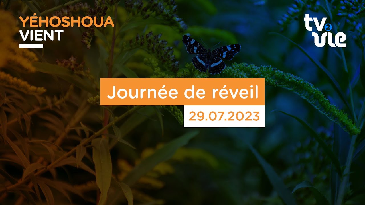 Journée de réveil - Poitiers (29/07/23)