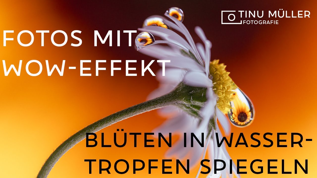 WOW-Fotos: Blumen in Wassertropfen spiegeln (Kommentar in Schweizer Mundart!)