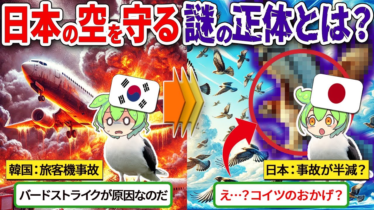 日本の空をバードストライクから守ってくれているコイツがヤバイ