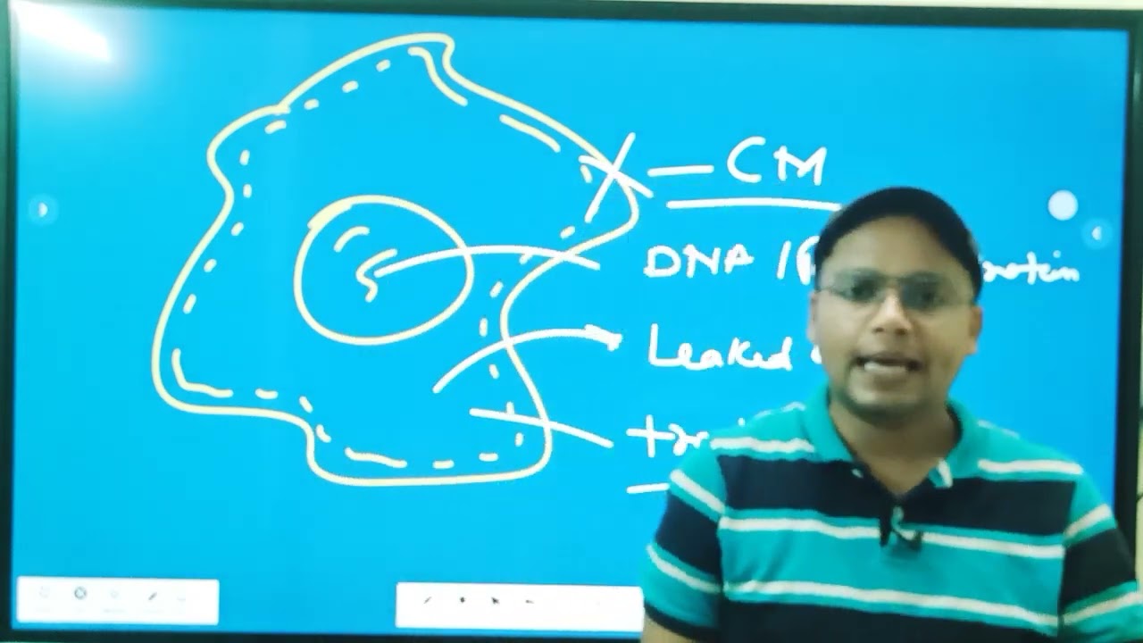 AntiProtozal drugs- Introduction Classification, Mode of action & Use L-8 Unit-4 Medi Chem 6th sem