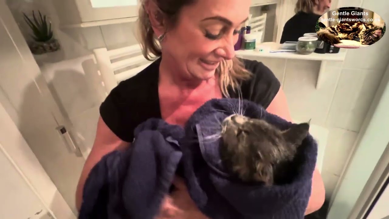 www.gentle-giantsworcs.co.uk Bath Time Winston!