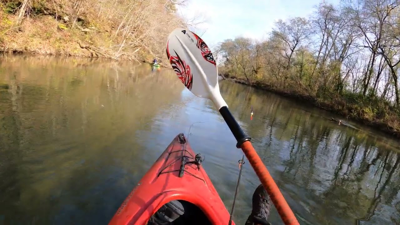 Swan Creek Kayak Trip 11-17-24 Hickman County TN