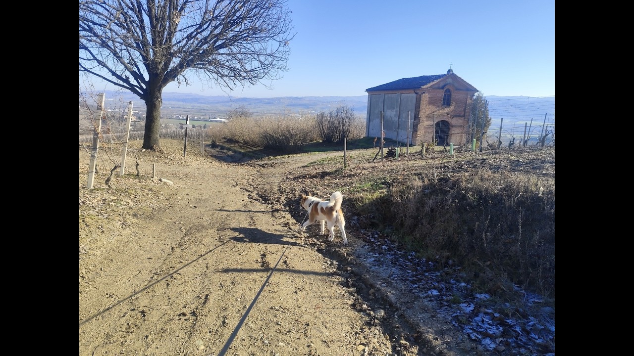 Escursione a Guarene sul Sentiero dell'Acino 30_12_2025
