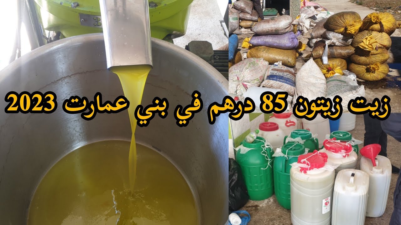 طحن الزيتون ..ثمن الزيت الزيتون 85درهم في بني عمارت.. لسنة 2023 نواحي الحسيمة