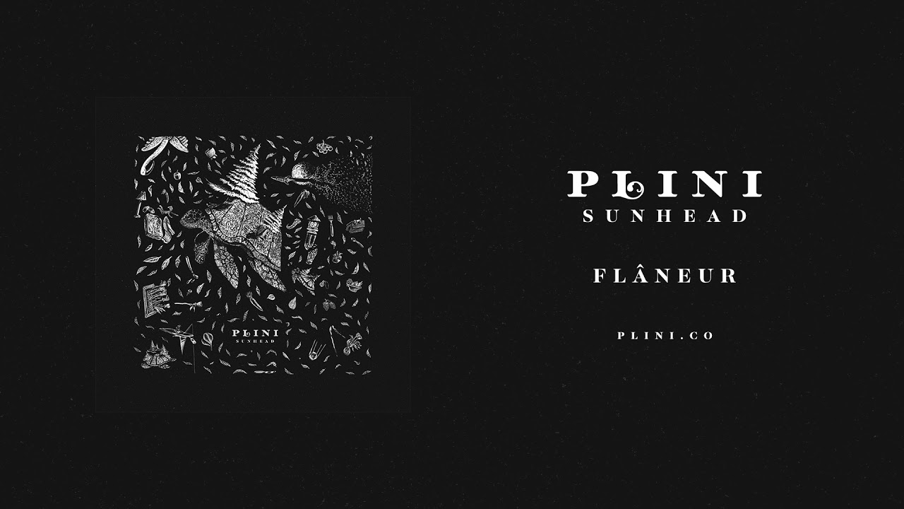 Plini &ndash; Fl&acirc;neur (Audio)