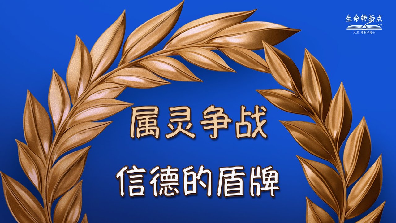 信德的盾牌