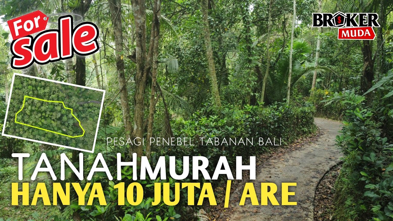 DIJUAL TANAH KEBUN MURAH HANYA 10 JUTA || AKSES JALAN MOBIL || DEKAT PEMUKIMAN || PENEBEL TABANAN