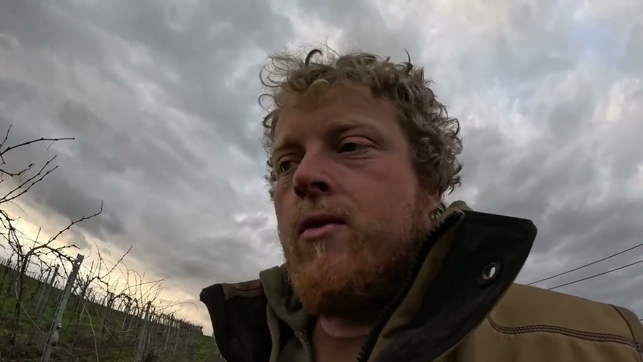 Vlog#27 Weinsituation und Umkehrerziehung